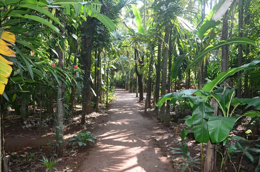 Spice Plantation Goa