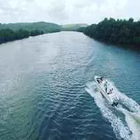 Serene Backwaters in Goa